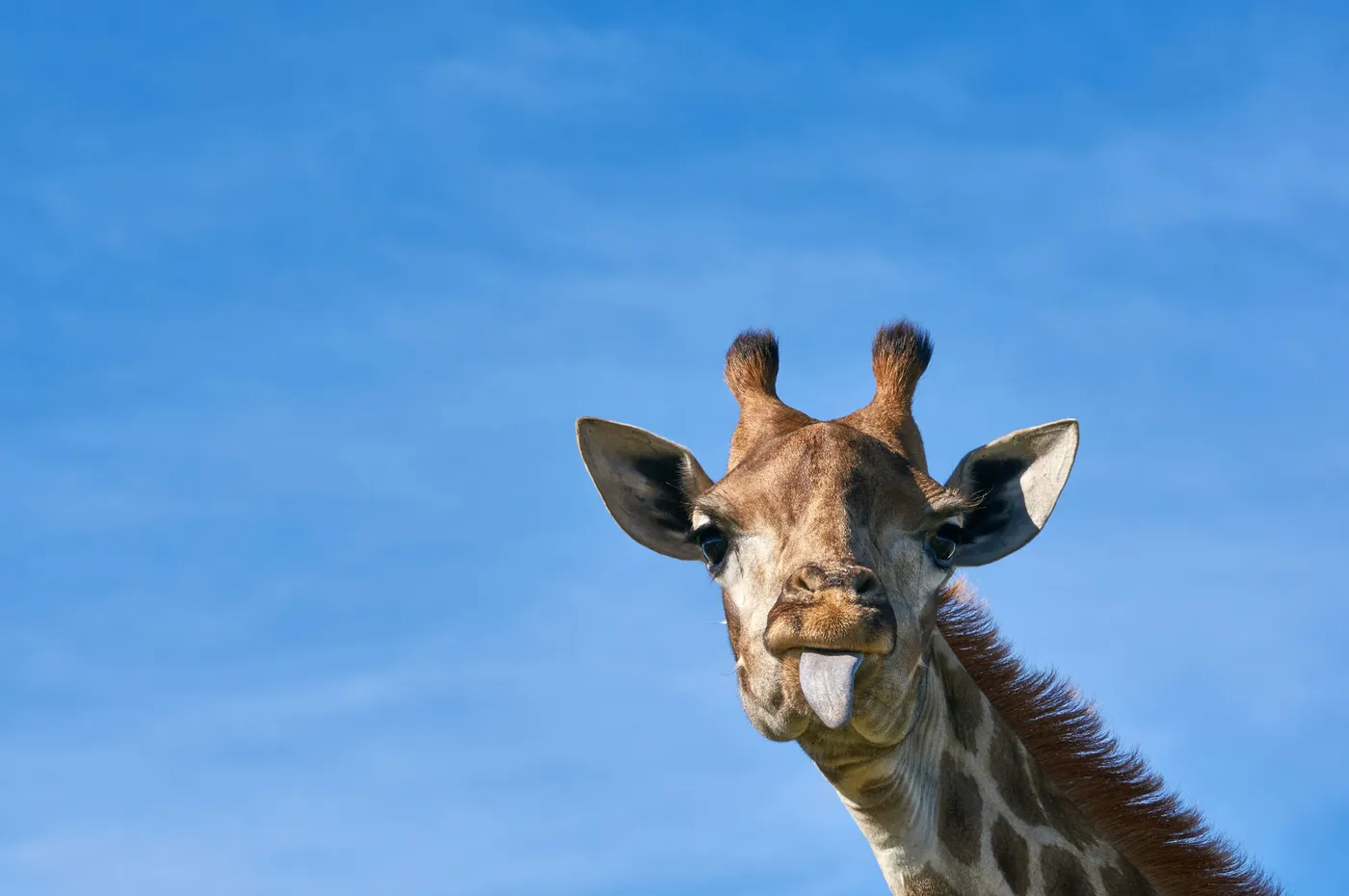 Arusha National Park scenic safari