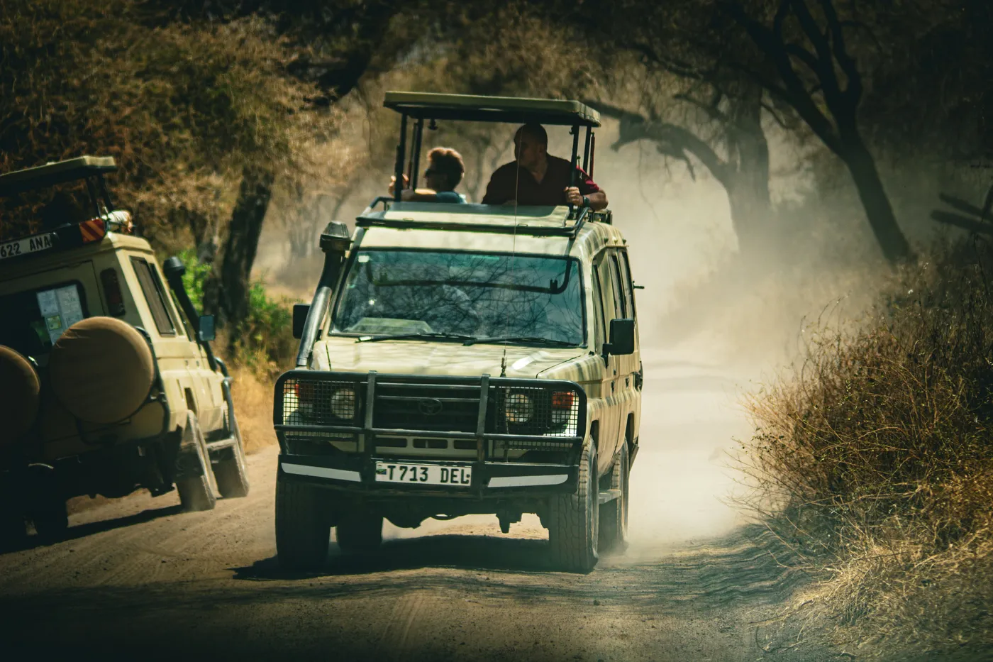 Lake Manyara National Park landscape