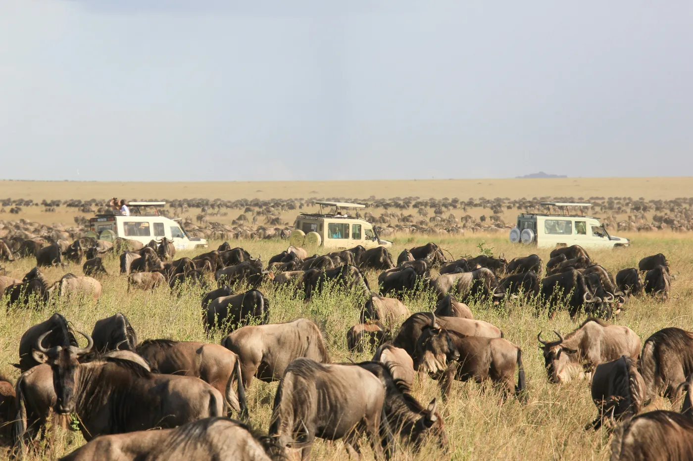 Luxury migration safari in Tanzania
