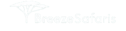 Breeze Safaris logo